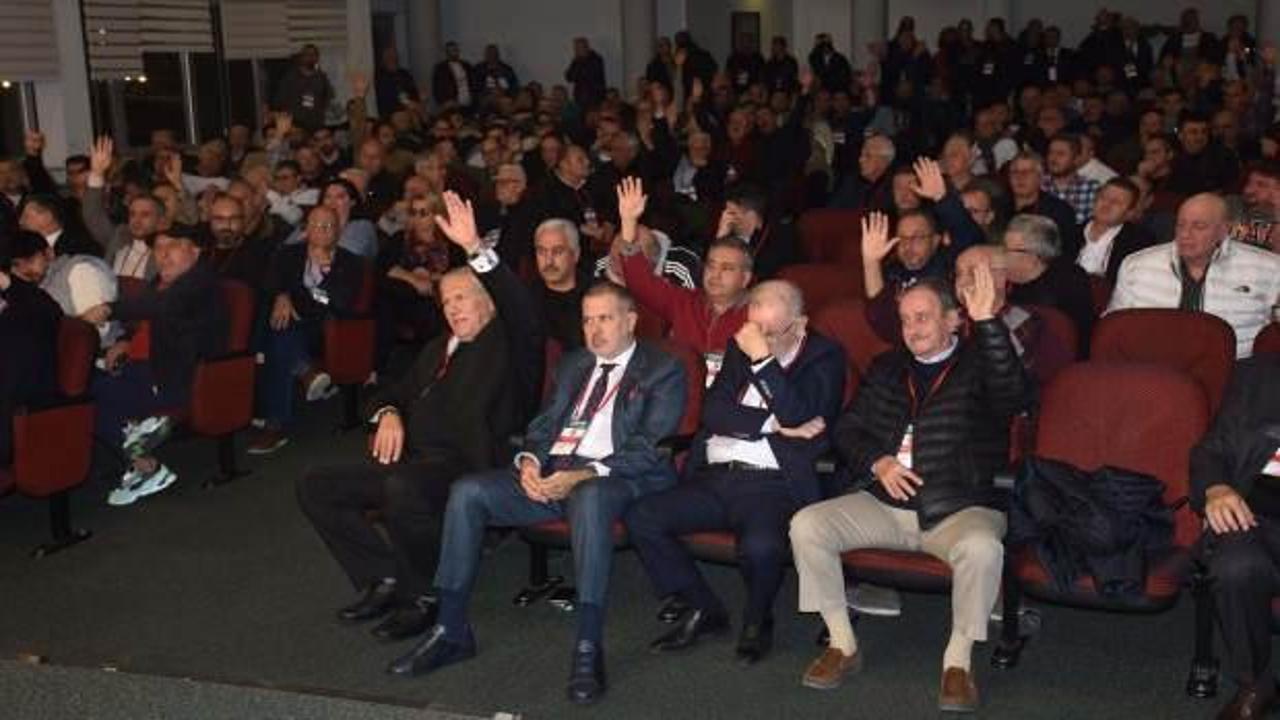 113 yıllık çınar 'sahipsiz' kaldı: Seçime 'bir' kala 'bir aday' yok