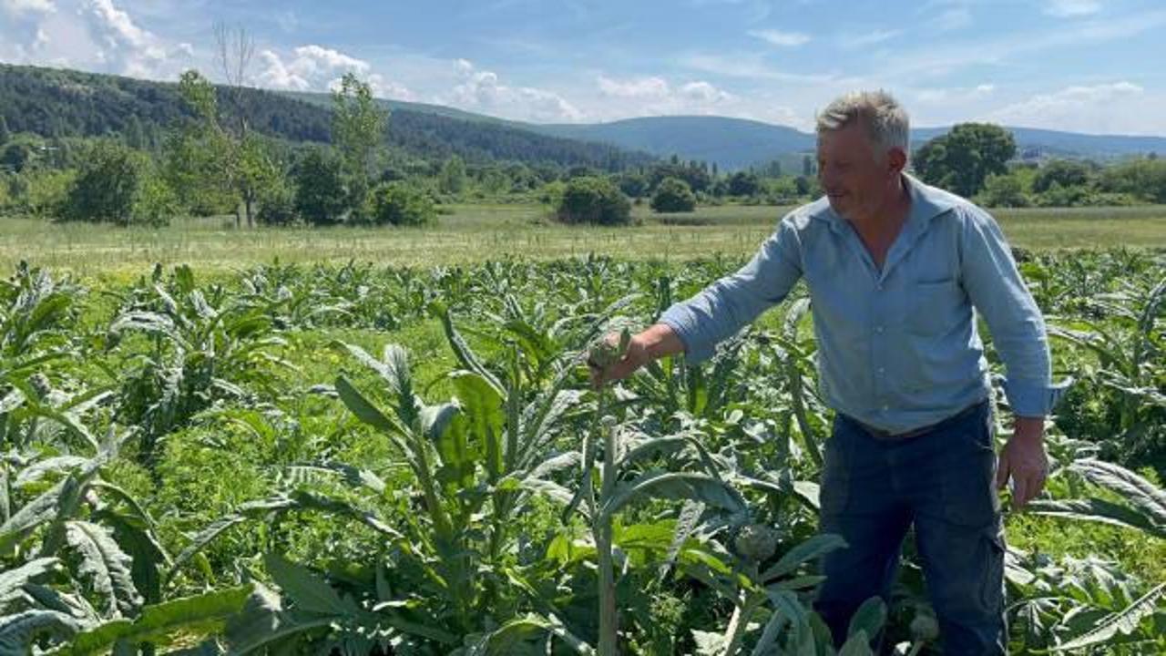 Bursa'da ilginç hırsızlık: Tarladaki hasadını bir gecede çaldılar
