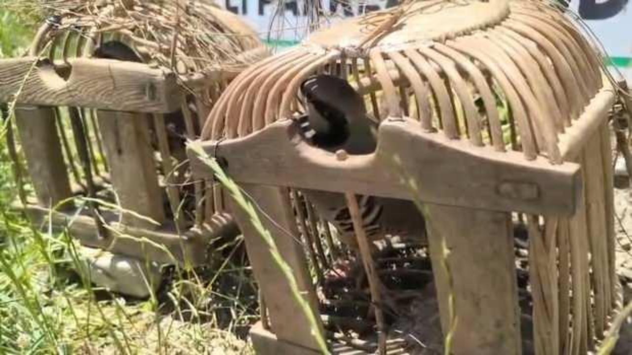 Siirt'te yasa dışı keklik avına 43 bin lira ceza kesildi