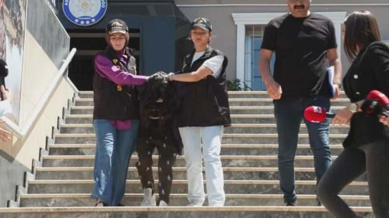Beşiktaş'ta &ouml;ld&uuml;rd&uuml;, Kocaeli'de itiraf etti!
