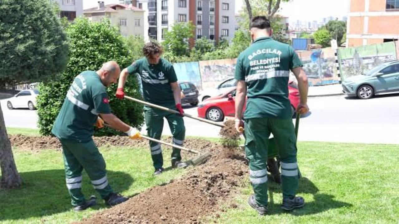 Bağcılar'da bir ton kahve posası gübre olarak kullanıldı 