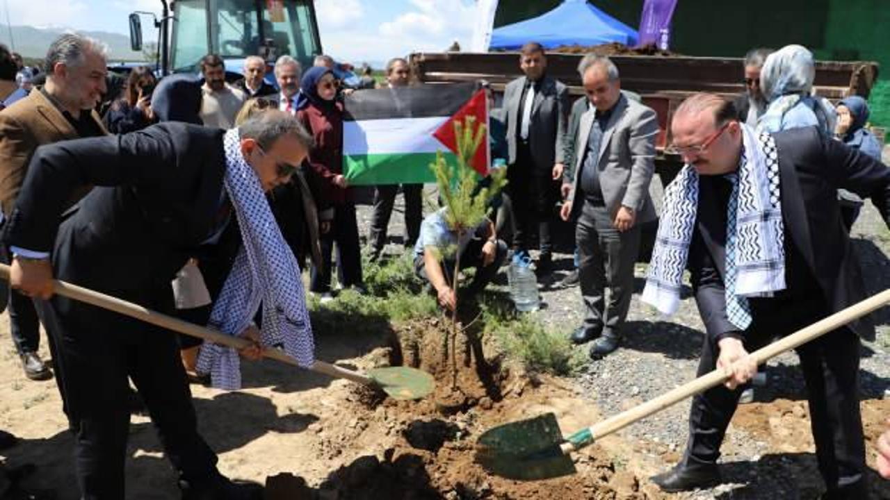 Ev sahibi Atatürk Üniversitesi: 'Gazze Hatıra Ormanı' için fidanlar ilk toprakla buluştu