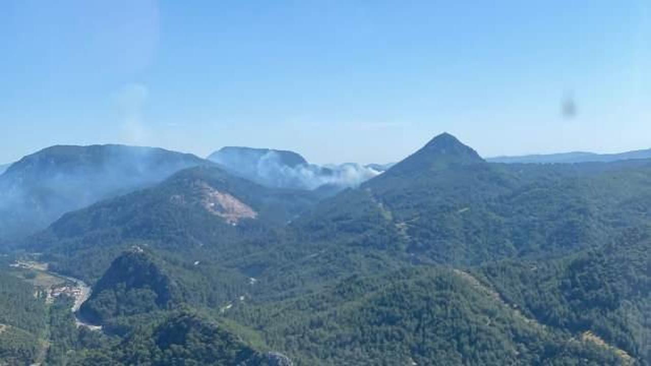 Marmaris'te orman yangını çıktı!