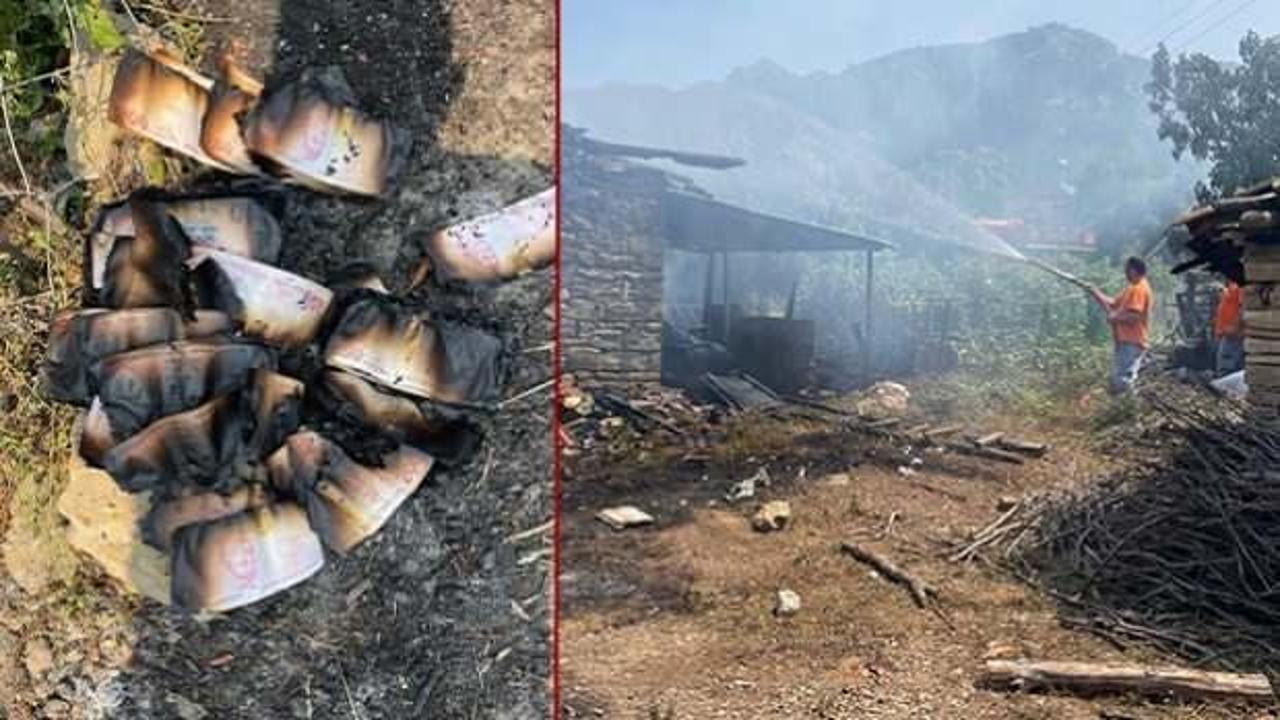 Antalya'da yangın: Hem evi, hem de biriktirdiği tüm parası yandı