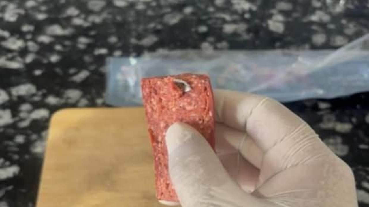 Sucuktan çıkan cisim mide bulandırdı!