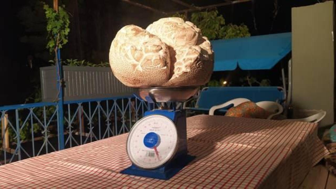 ‘Hayatımda ilk defa gördüm’ dedi, görenler gözlerine inanamadı