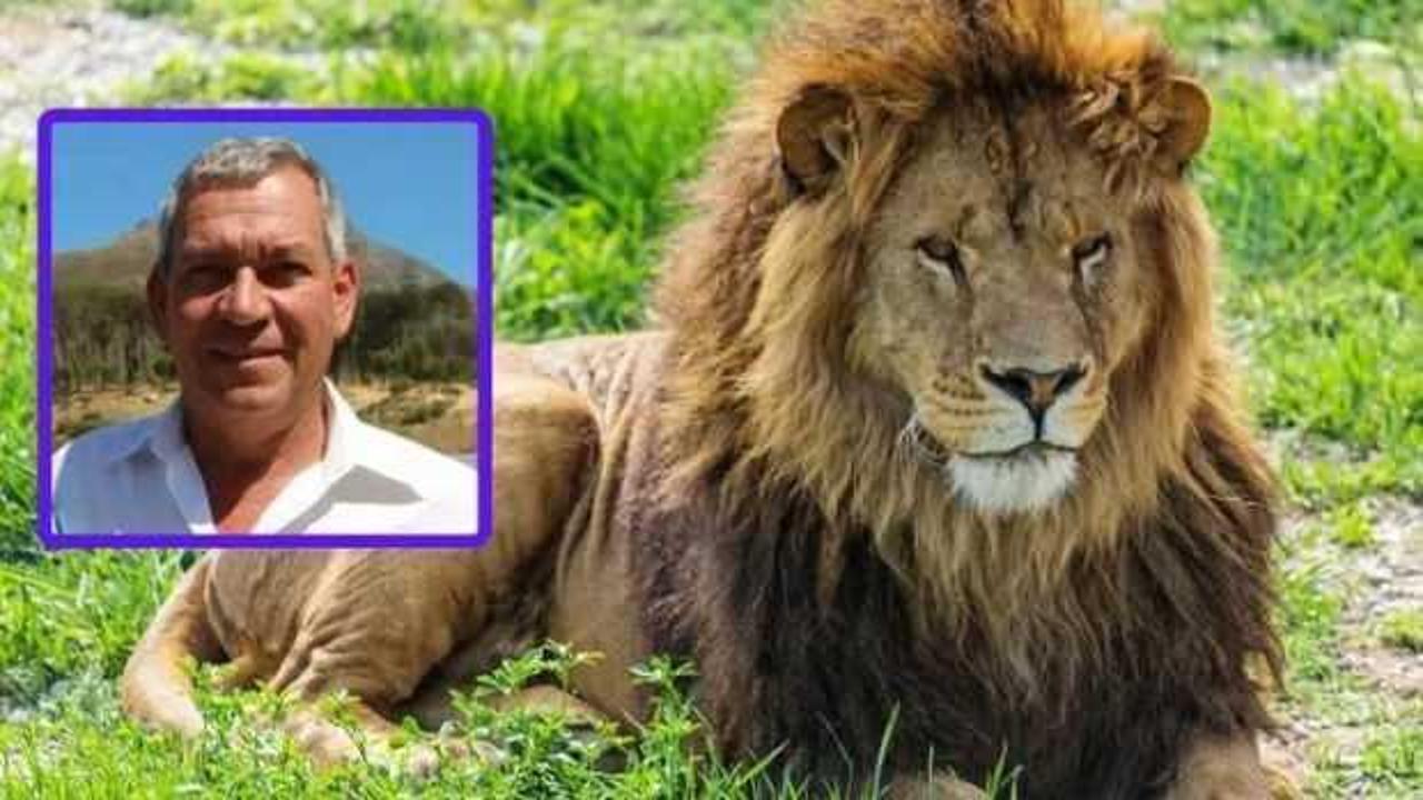 İşadamını aslan yedi