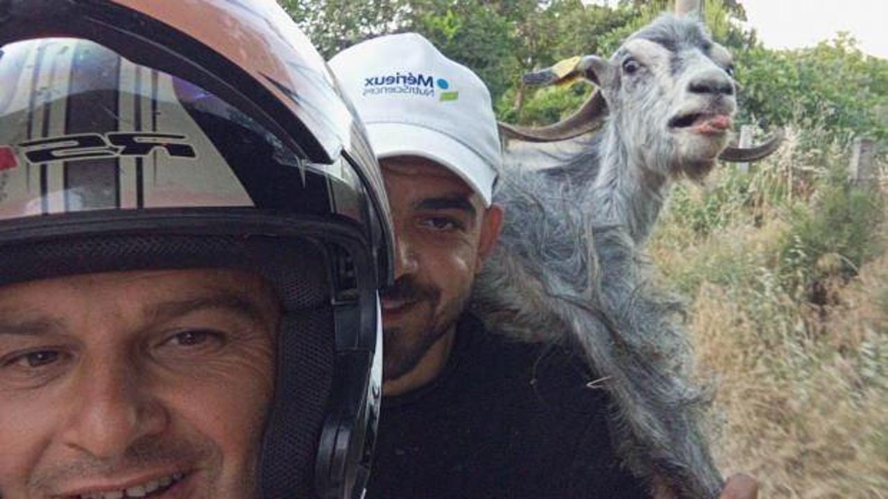 Kaçan keçiyi omzuna alıp motosiklet üstünde pazara getirdiler