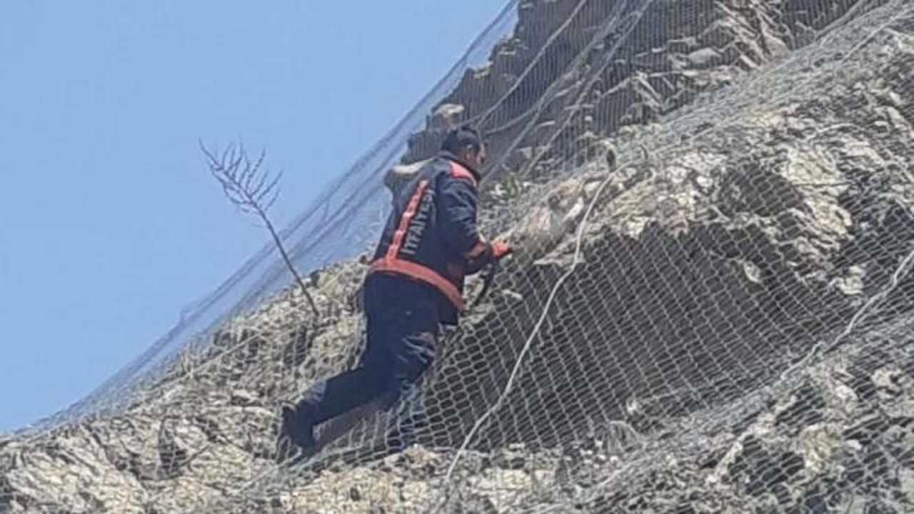 Malatya'da ağa takılan 2 yaban keçisi kurtarıldı