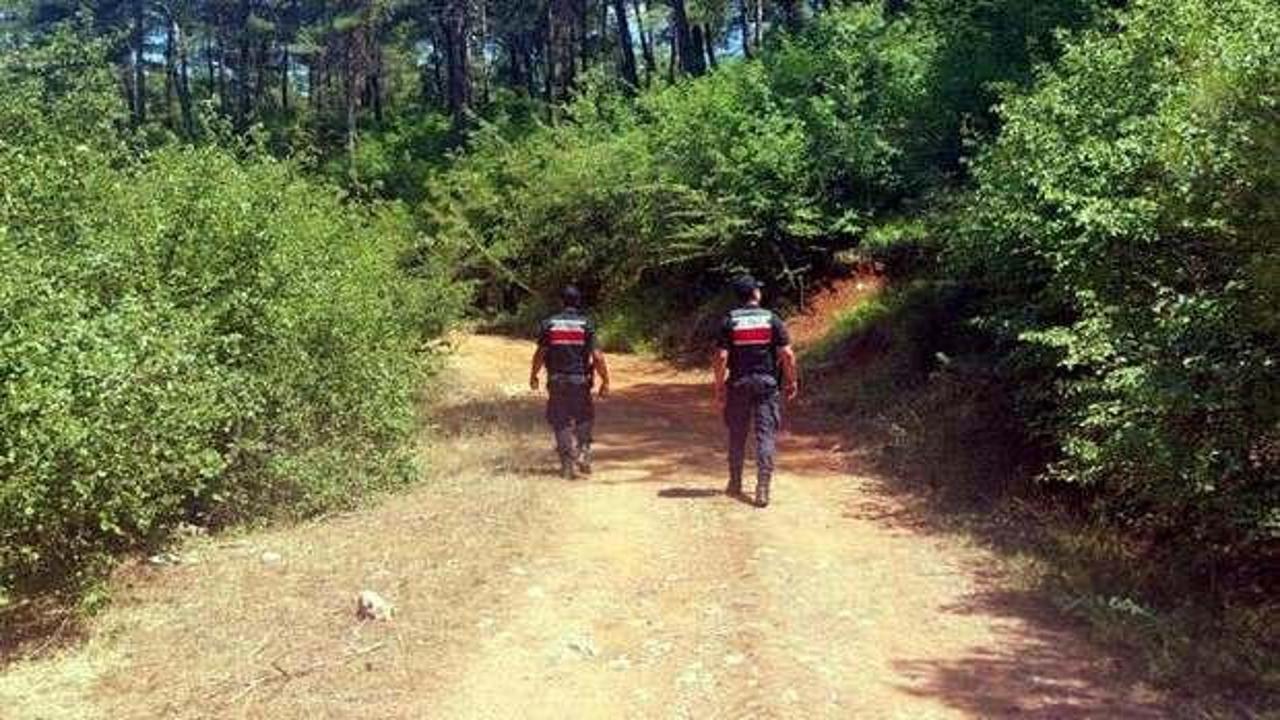 Muğla'da ormanlara girişler yasaklandı