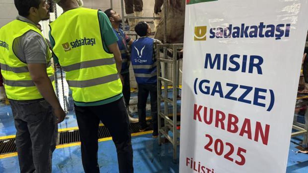 Sadakataşı Derneği, Gazze Şeridi’ne ulaştırmak için Mısır’da binlerce kurban kesti