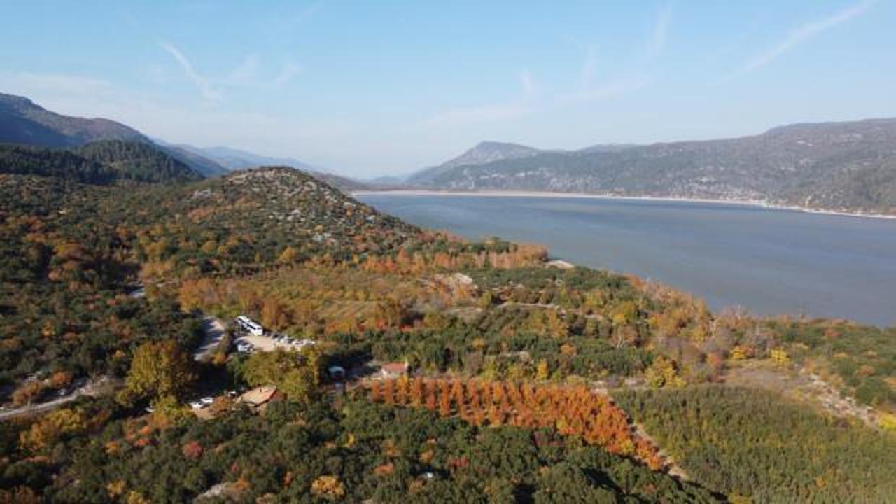 Sıcaklıklar arttı, yangınlara karşı ormanlara giriş yasağı getirildi