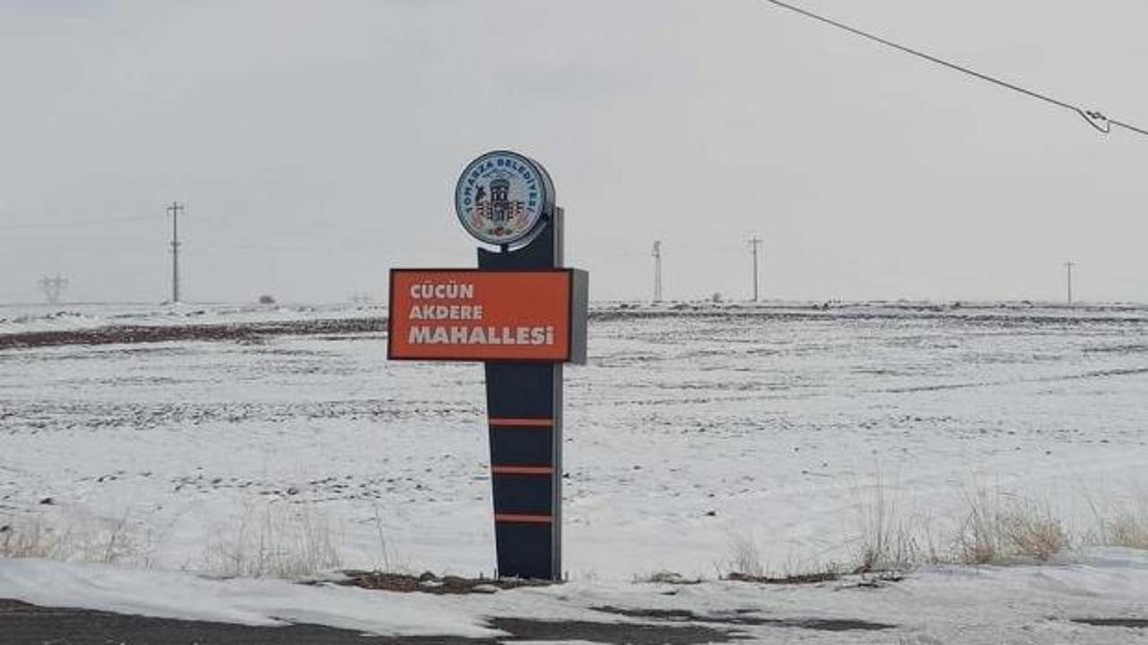 Tehlike yayılıyor: Kayseri'de ikinci kene vakası! Birincisi ölümle sonuçlandı 