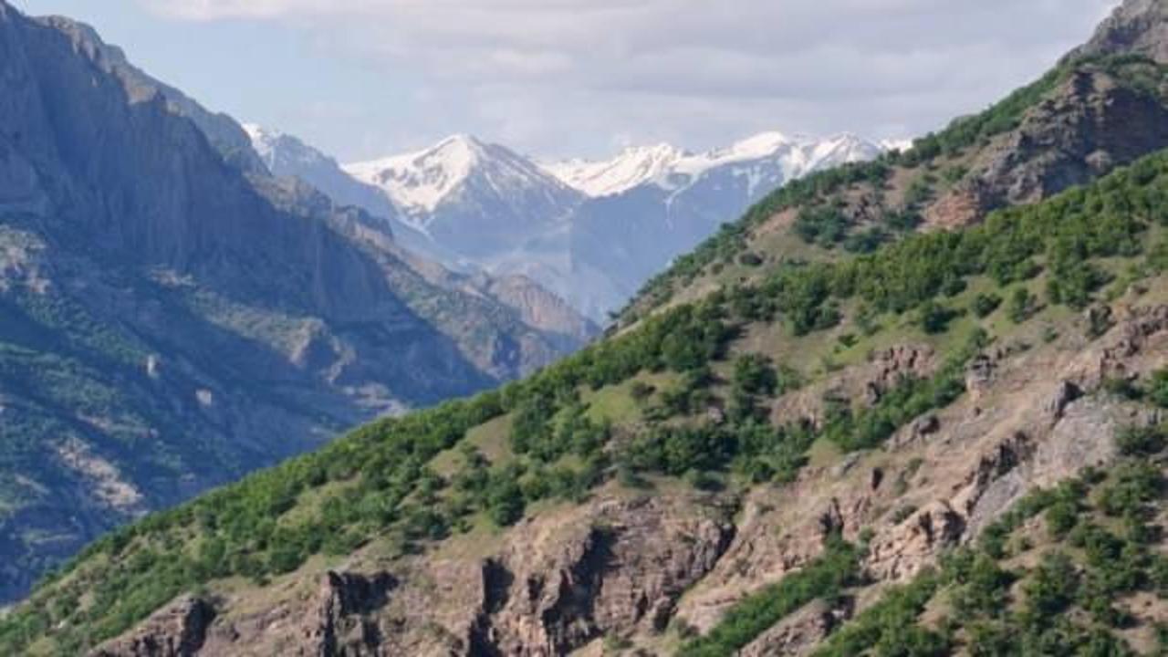 Tunceli’de mantar toplarken kaybolan kişiden acı haber