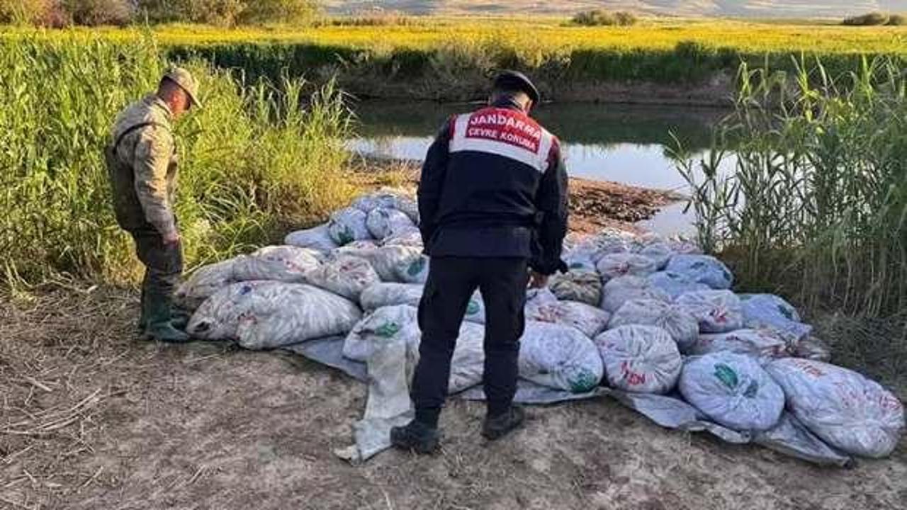 Van'da denetimlerde 22 ton 475 kilogram inci kefali ele geçirildi