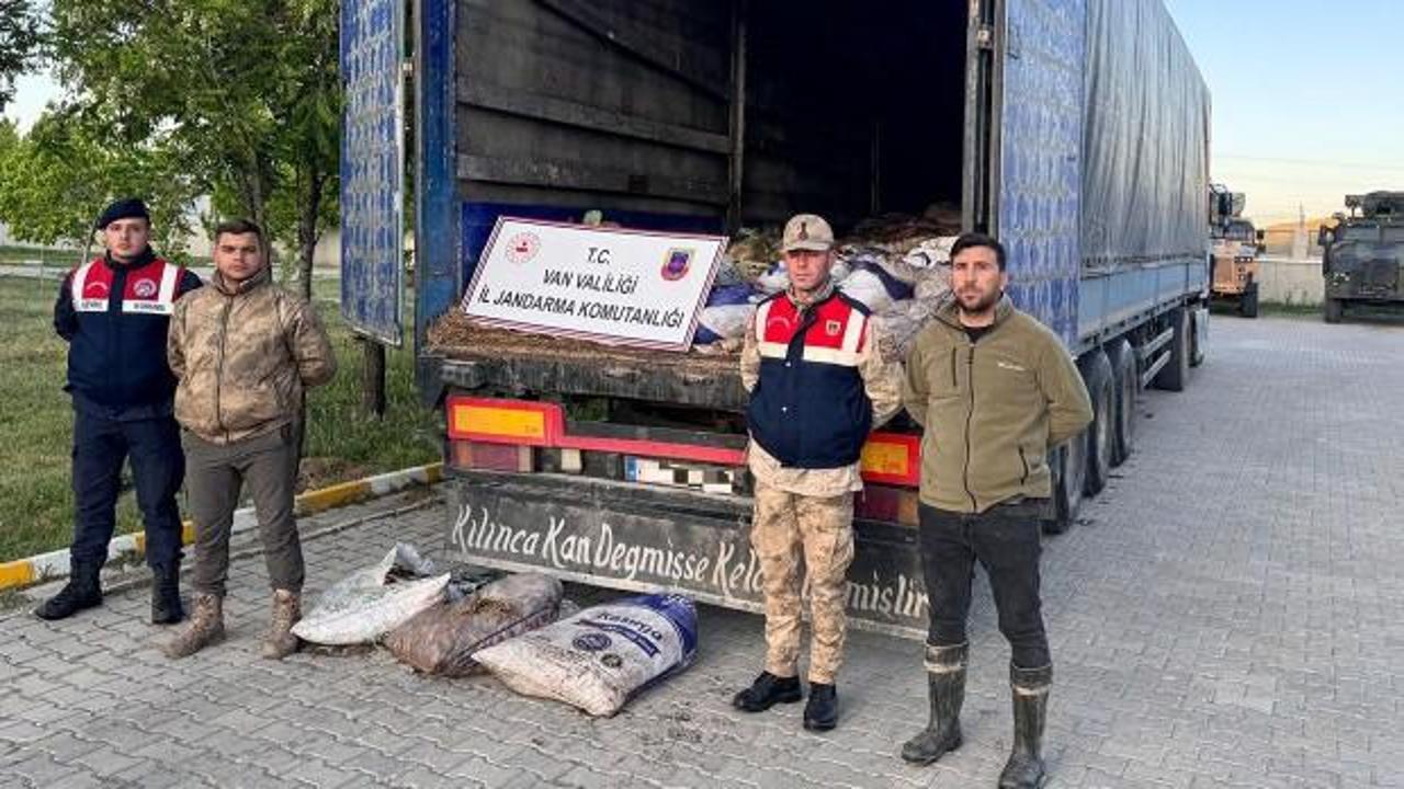 Van'da yasak dönemde 19 ton ölü inci kefali ele geçirildi
