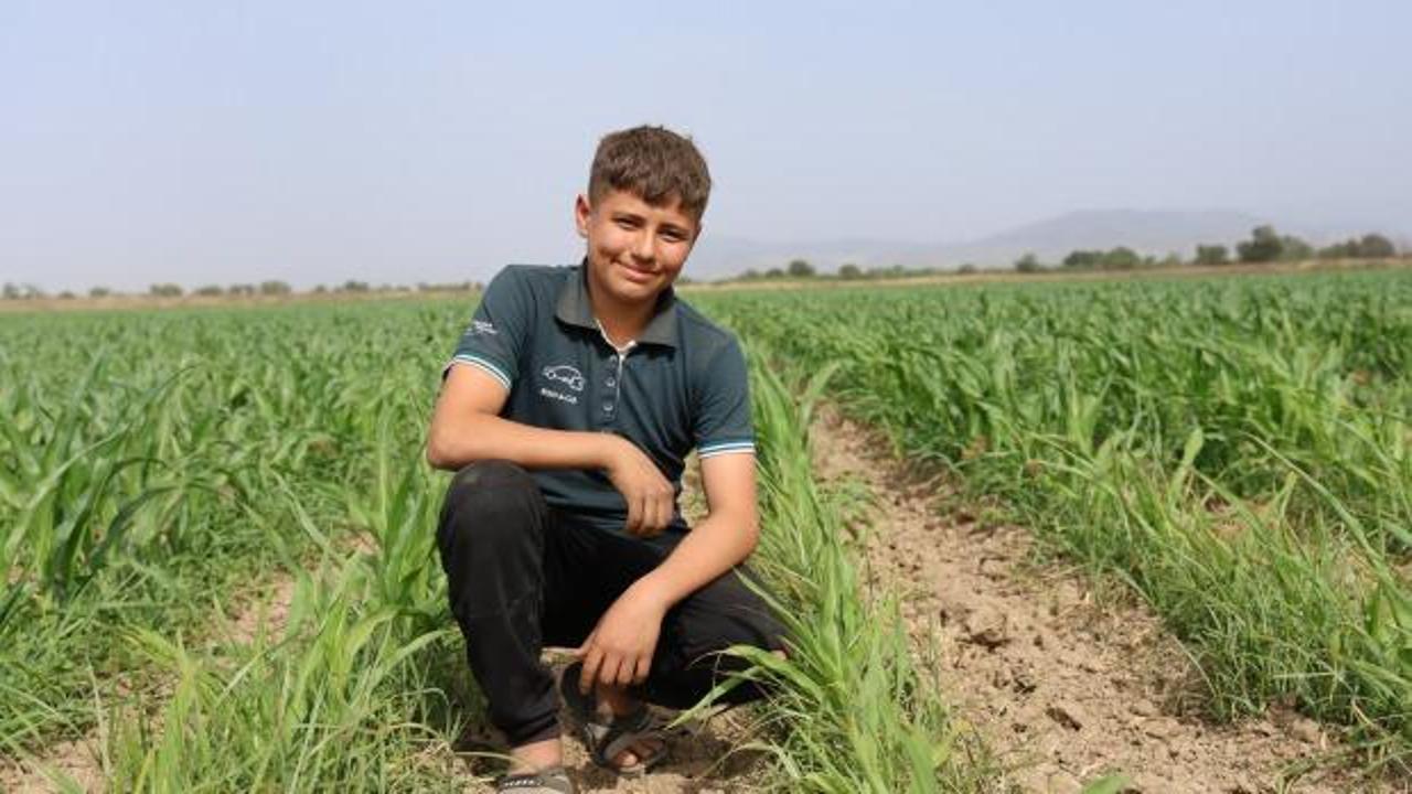 Muhammet Efe, tek başına 300 dönüm arazide üretim yapıyor