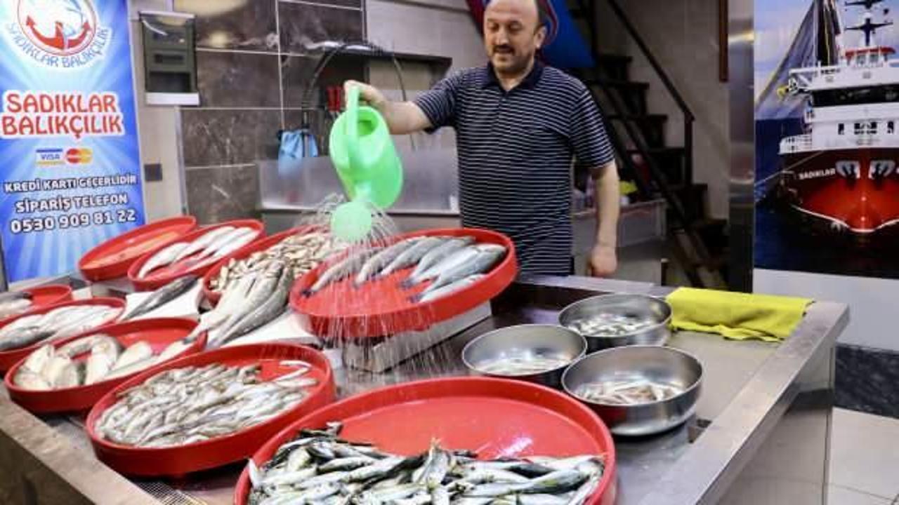 Balıkçı tezgahlarında bolluk yaşanıyor
