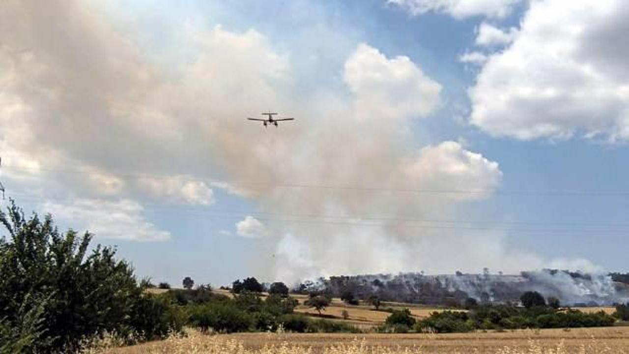 Edirne'de orman yangını