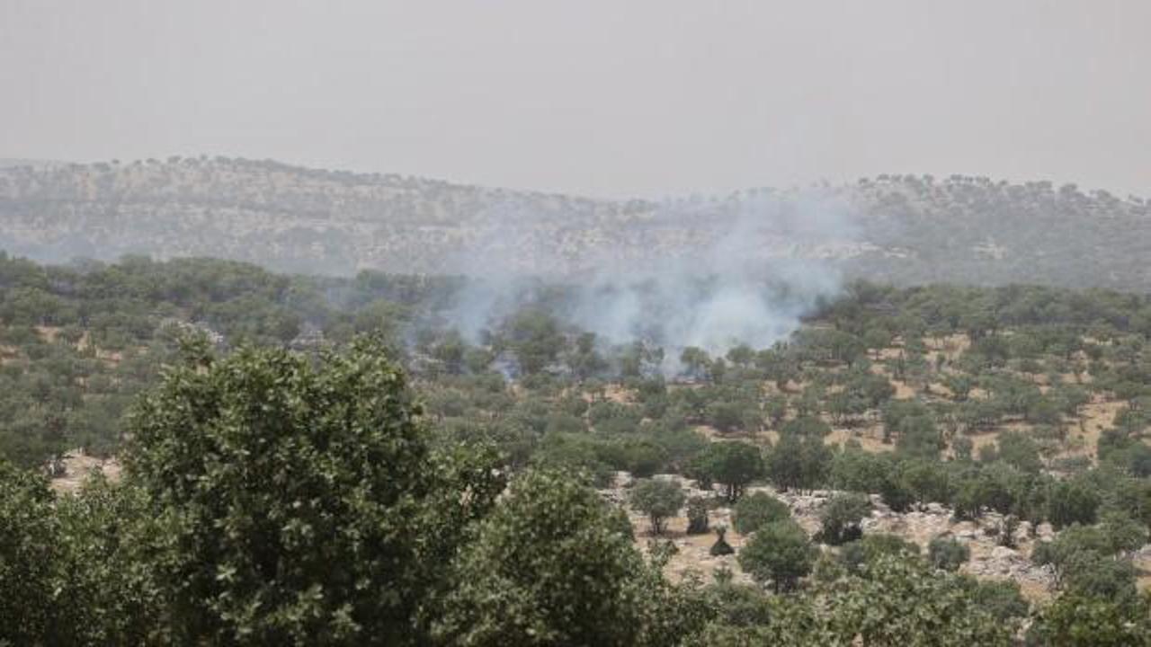 Mardin'de orman yangını: Kontrol altına alındı