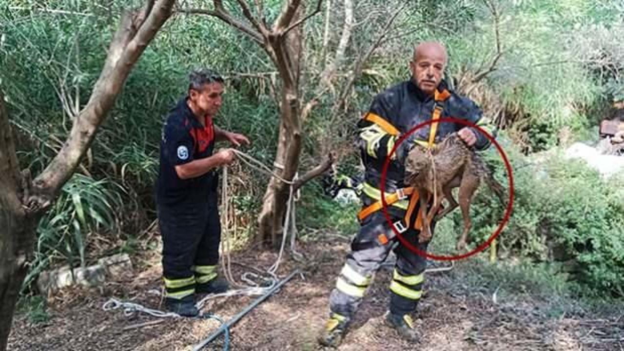 Son hali endişe yarattı: Kuyuya düştü, itfaiye kurtardı