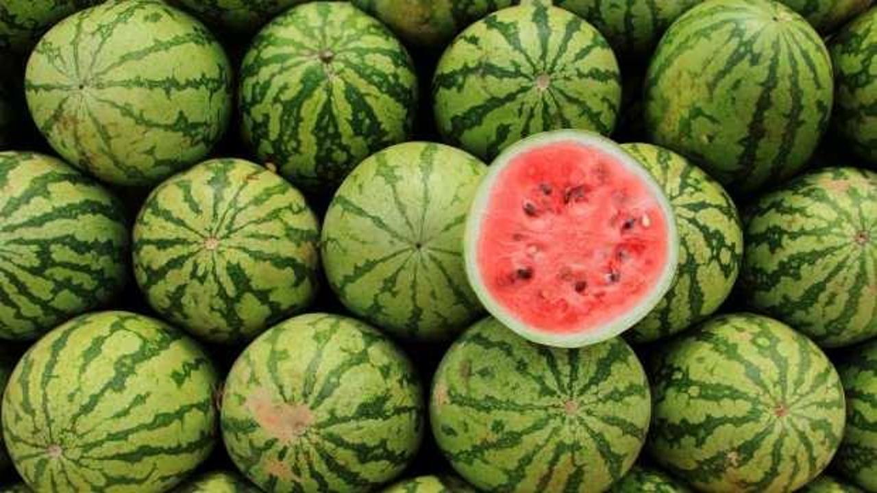 5 aşamada en tatlı karpuzu bulun! Karpuz seçmenin pratik yolları