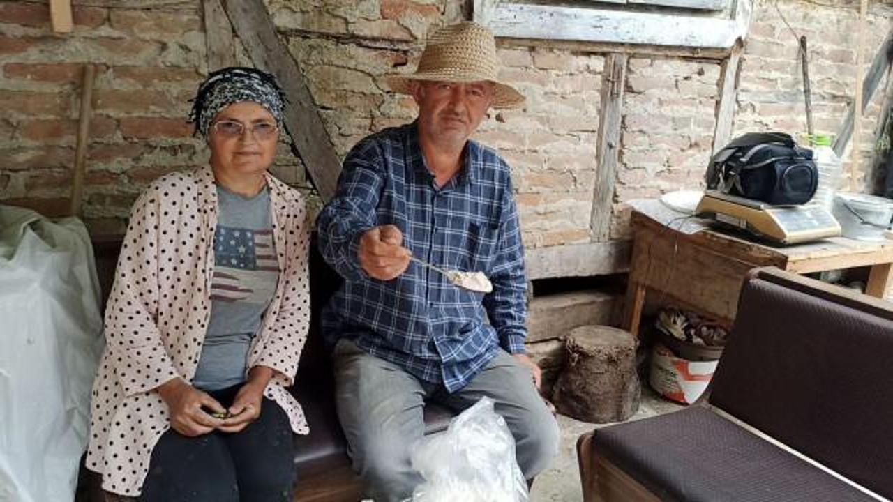 İki kardeş emekli olup köye döndü! Yetiştirdikleri bitkiyle bölgede ilk oldular 