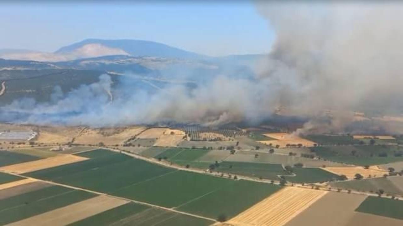 İzmir'de orman yangını: Havadan müdahale başladı
