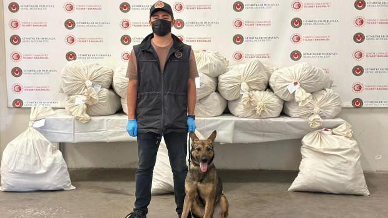 Kapıkule'de 2 TIR’da toplam 212 kilo esrar ele geçirildi