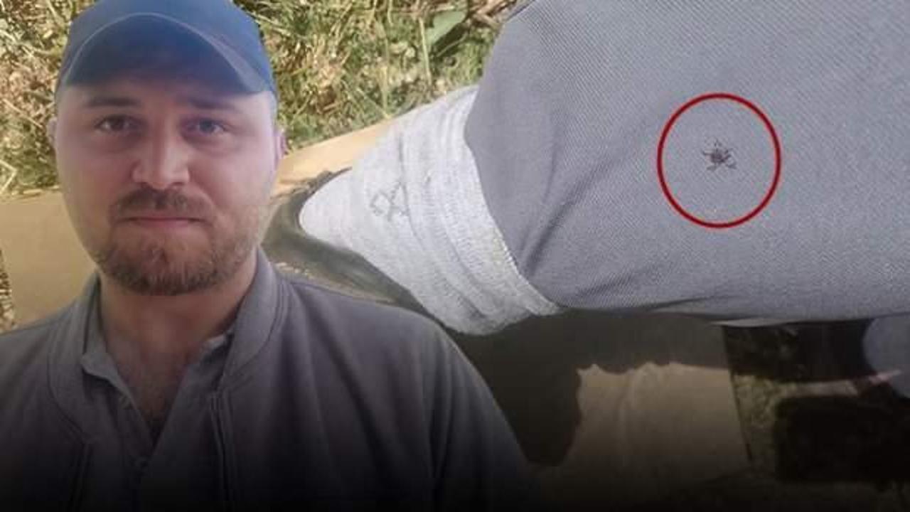  'Keneler, köpekler gibi koku alıp üzerimize geliyor' dedi, korkutan anları kaydetti