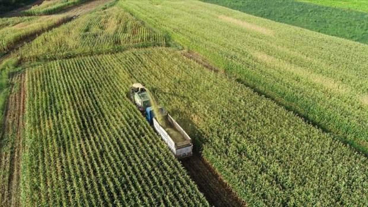 Kırsal kalkınma kapsamında 7 bin 160 projeye 10,2 milyar liralık hibe verilecek