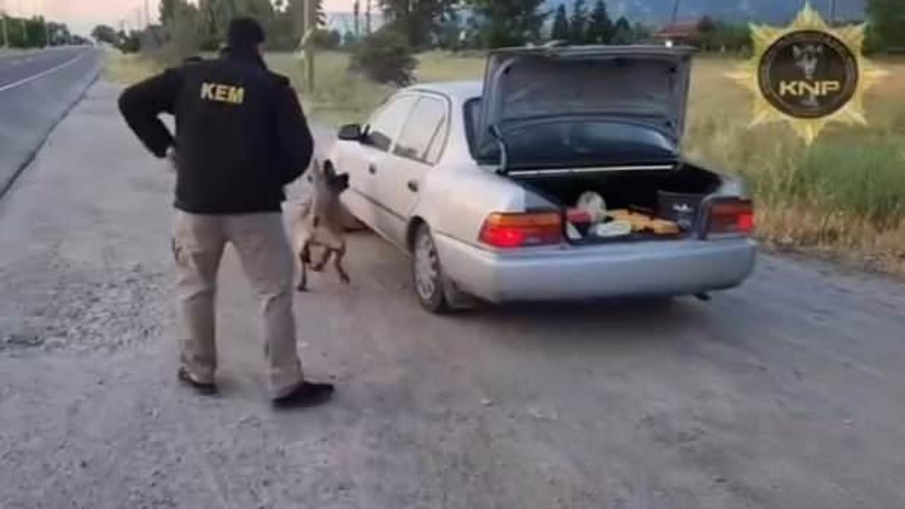Kütahya'da uyuşturucu operasyonunda Thor'un başarısı: 2 tutuklama
