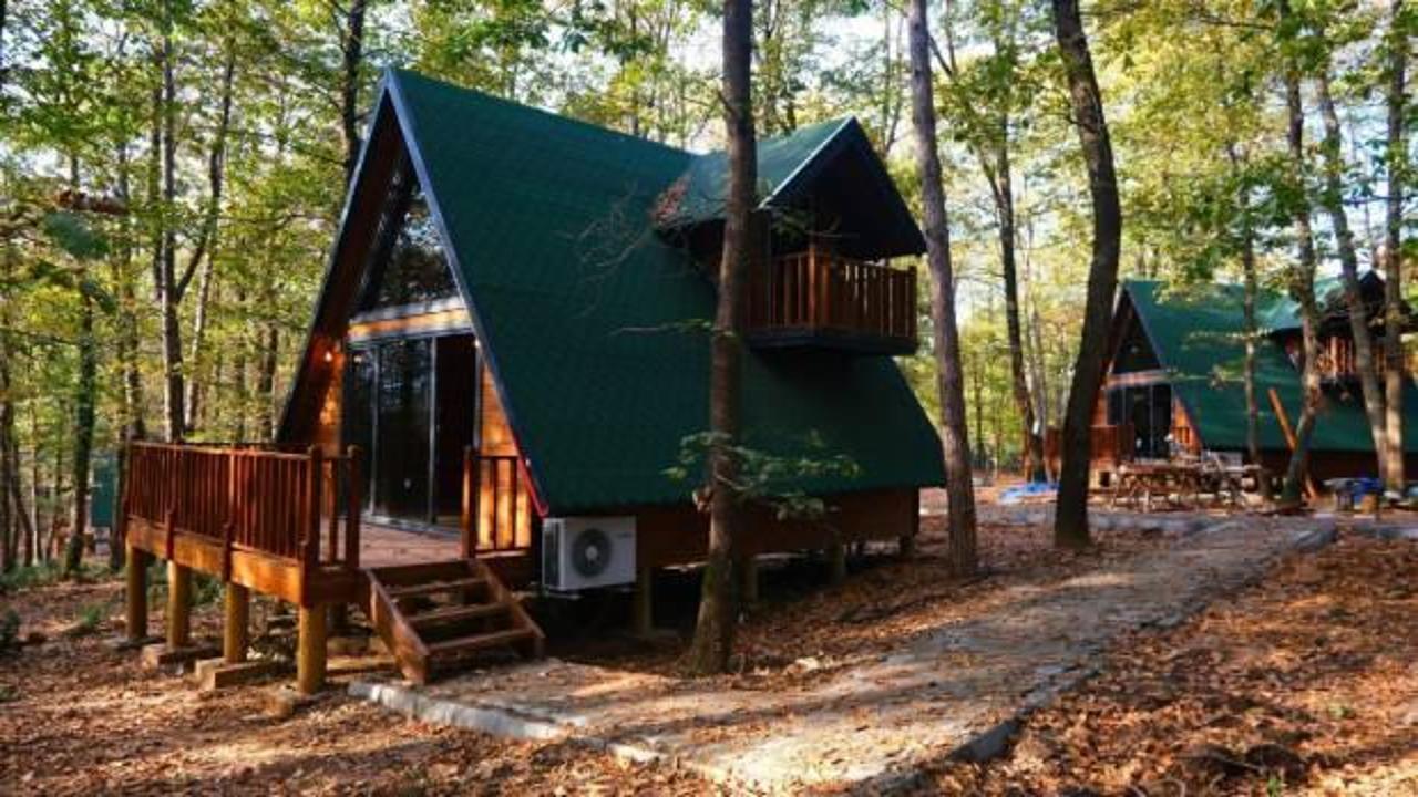 Tatil değil kabus: 263 milyon lira vurgunda 50 gözaltı 