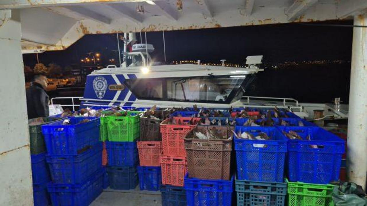 Yakaladığı 6 ton kalkan balığının sevinci kursağına dizildi: Şoke eden ceza! 