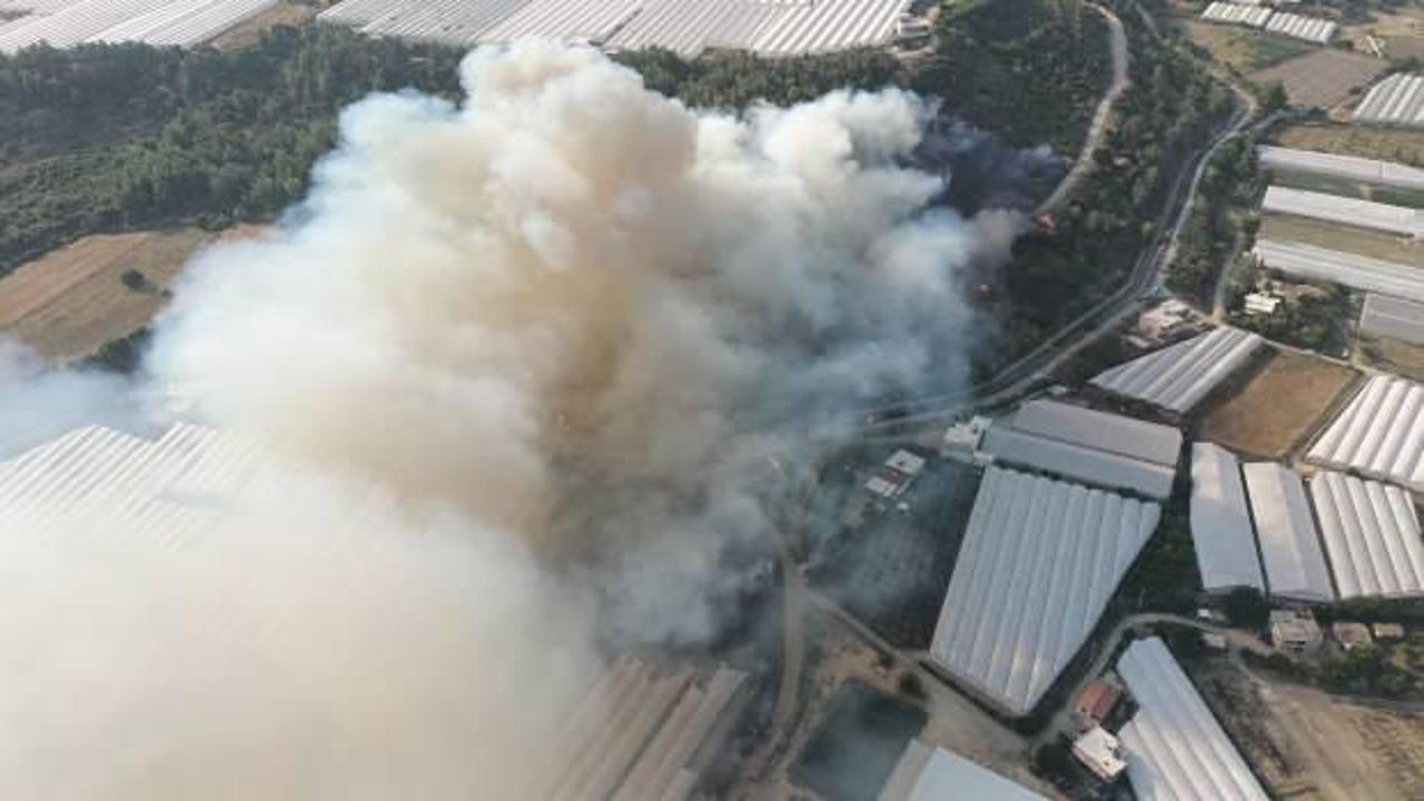 Antalya'da 2 ayrı noktada orman yangını! Ekiplerden yoğun müdahale
