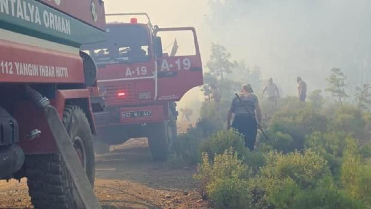 Antalya'da üç ayrı bölgede orman yangını! Biri kontrol altında