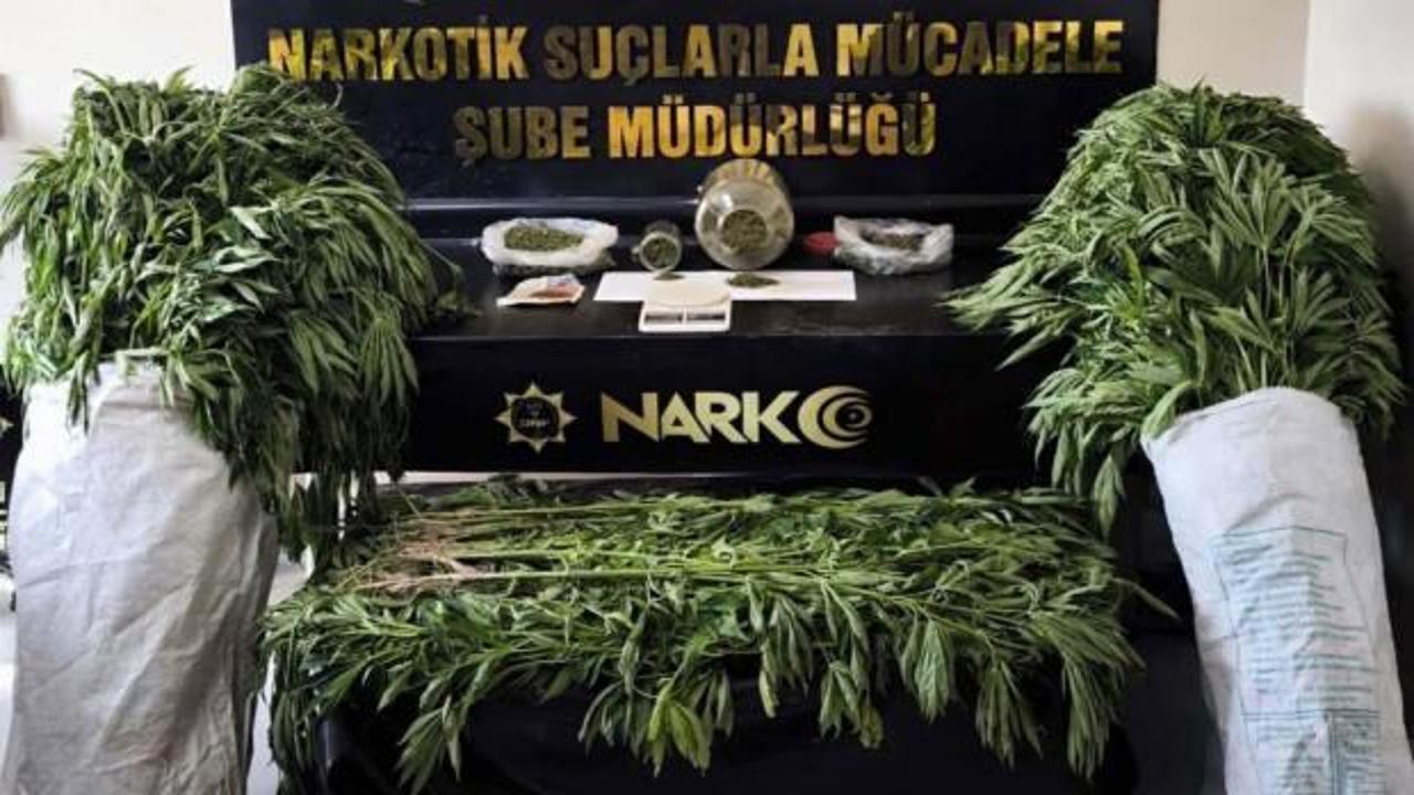 Evinin bah&ccedil;esinde Hint keneviri yetiştiren ş&uuml;pheli tutuklandı