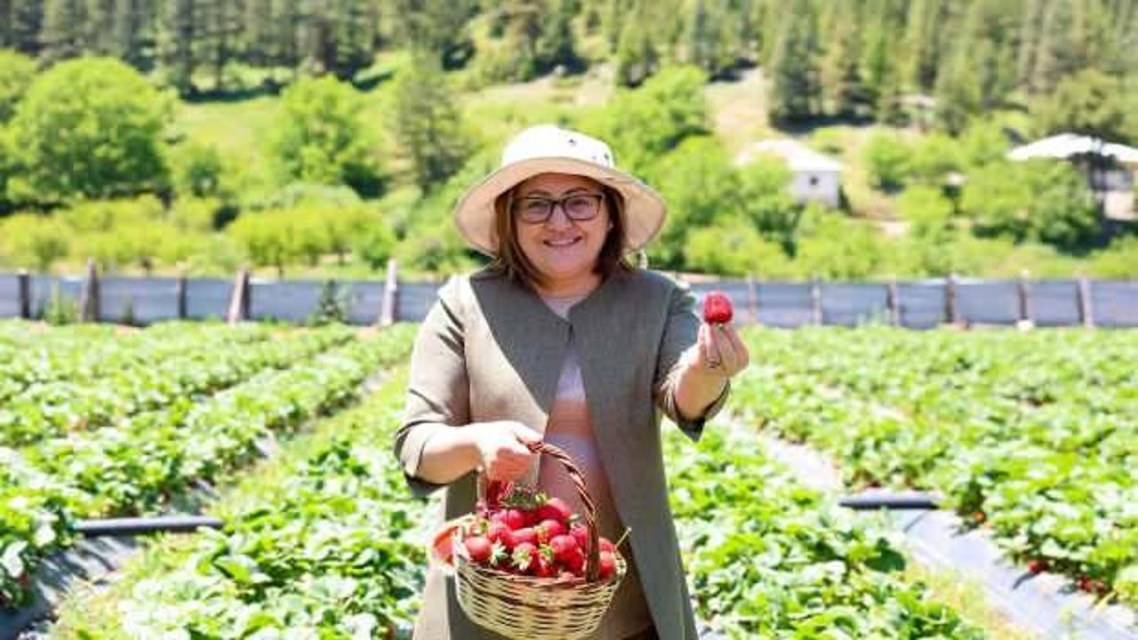 Gaziantep Büyükşehir'den Huzur Yaylası için eylem planı