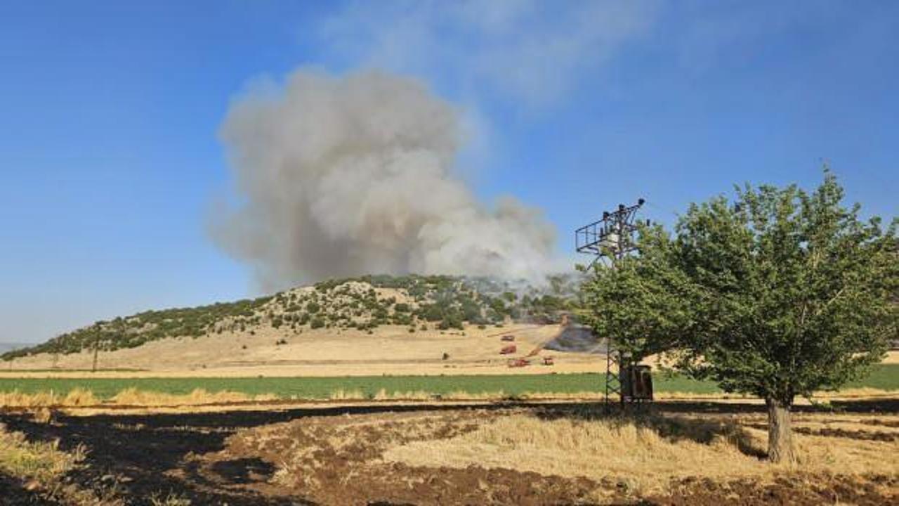 Gaziantep'te anız yakan çiftçiye 47 bin lira ceza
