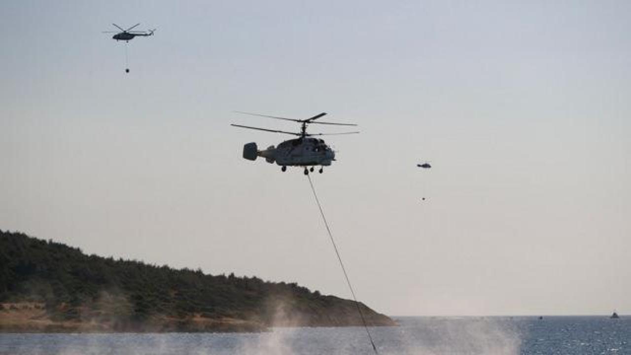İzmir'in Aliağa ilçesinde orman yangını!