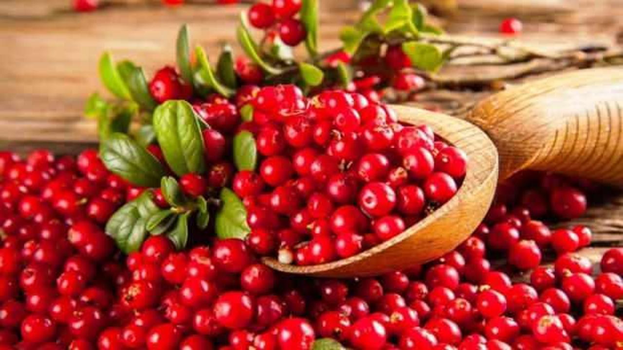 Kandaki CRP oranını düşürüyor, enfeksiyonu temizliyor! Vücuttan toksinleri atıyor