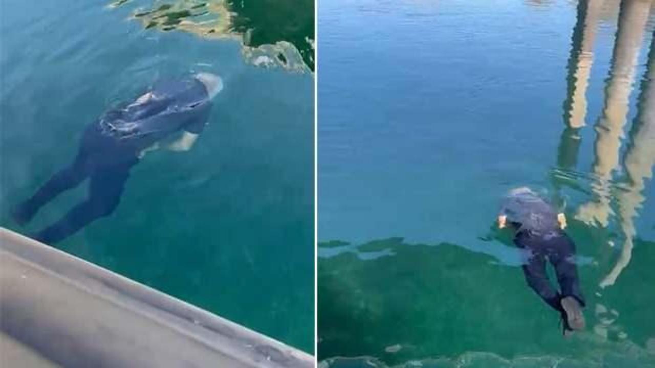 Keban'da panik anları! Yaşlı adam Fırat nehrine atladı