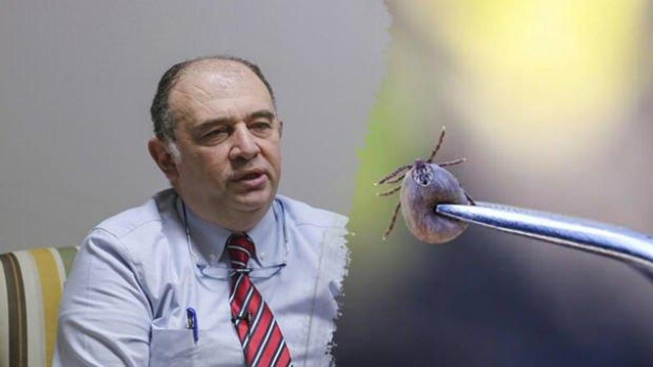 Kırım Kongo Kanamalı Ateşi (KKKA) aşısı için kritik gelişme: Tarih verildi!