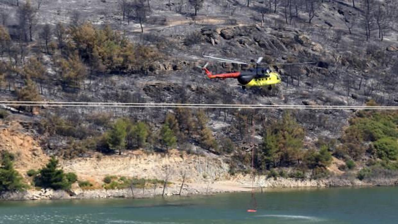 Manisa'nın Akhisar ilçesinde orman yangınına neden olan şüpheli tutuklandı