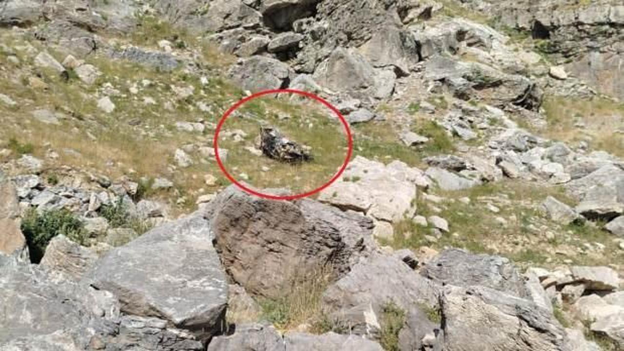 Batman'da bilirkişi ekibinin otomobili, şarampole yuvarlandı: 5 ölü