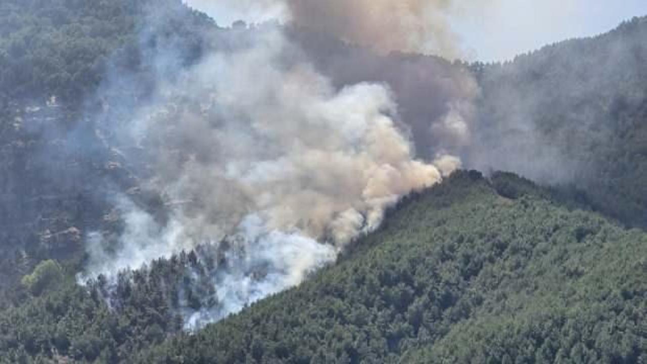 Son dakika: 7 ilde orman yangını! Hepsi kontrol altına alındı