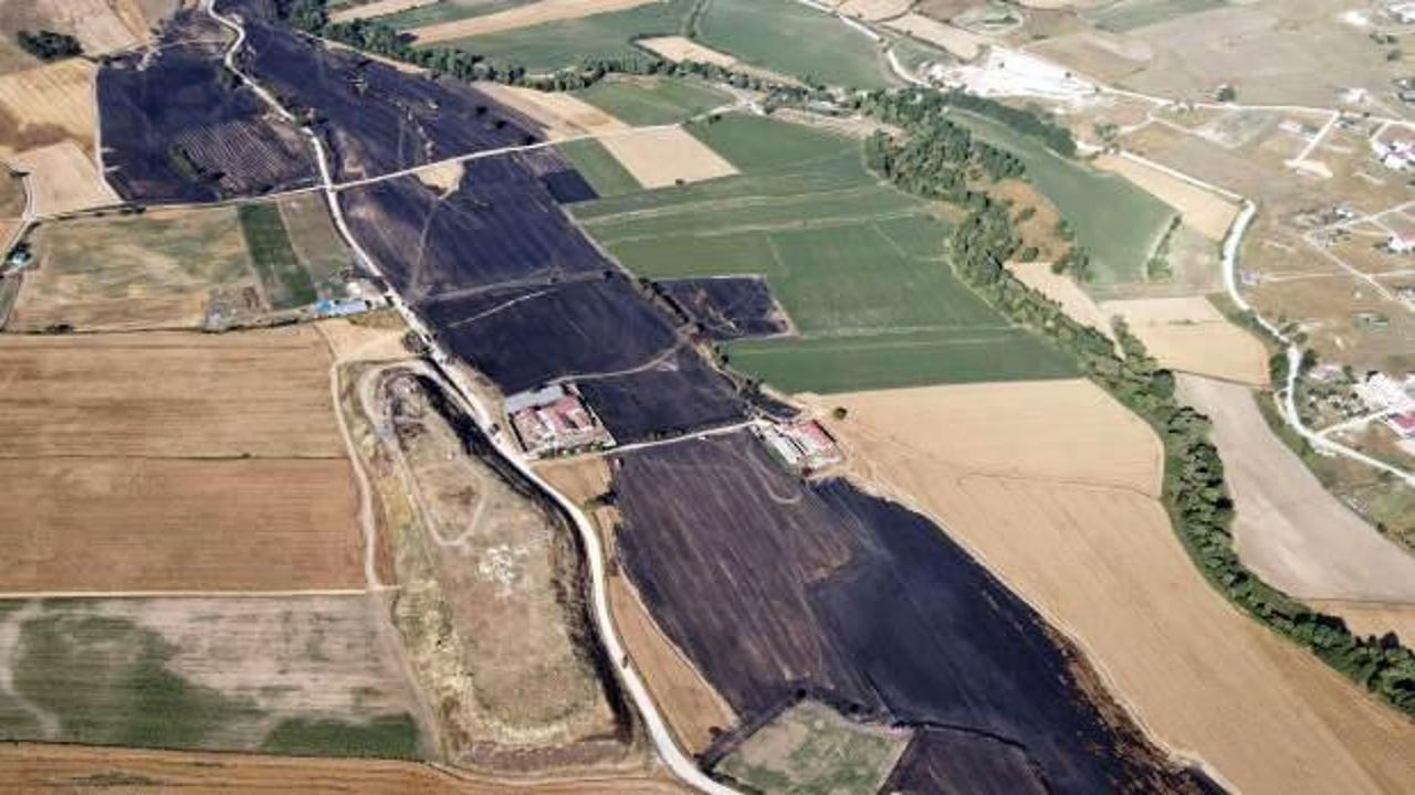 Tekirdağ'da yangında 400 dönüm buğday ekili tarla zarar gördü