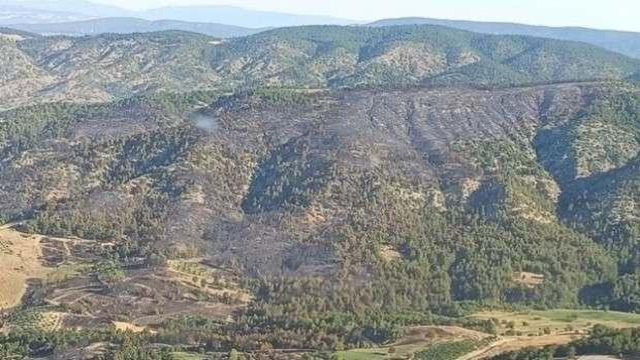 Zonguldak'ta ormana girişler yasaklandı