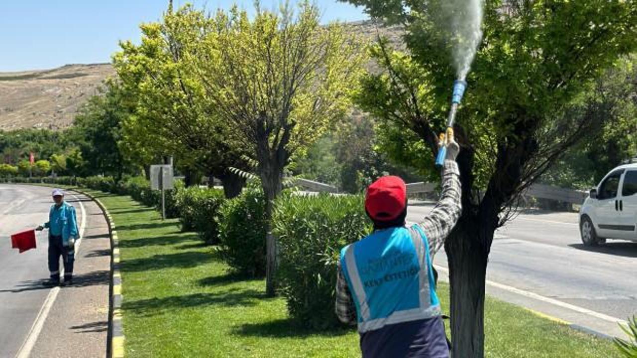 Gaziantep Büyükşehir, kentteki ilaçlama çalışmalarına hız kazandırdı 