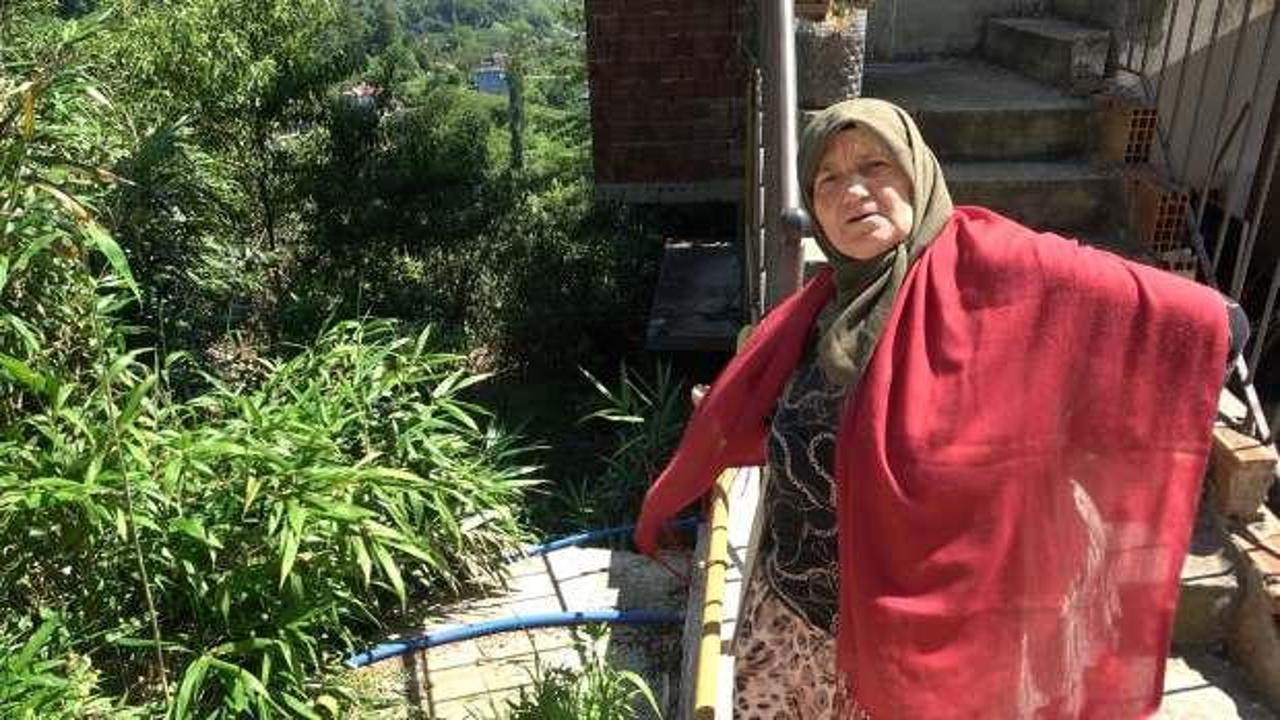 Kalem yapımı için dikilen bitki kâbusları oldu: 'Birkaç sene sonra köy kapanır"